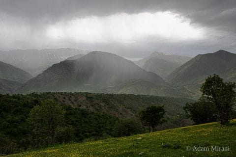 Photograph: kur0426