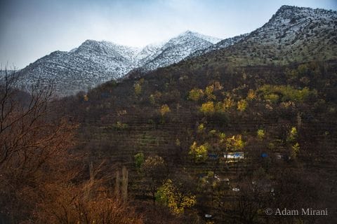 Photograph: kur0913 1