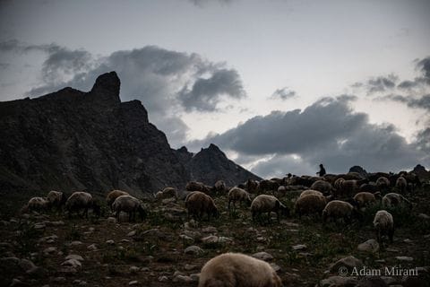 Photograph: kur1120