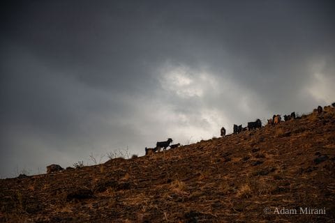 Photograph: kur1669 1