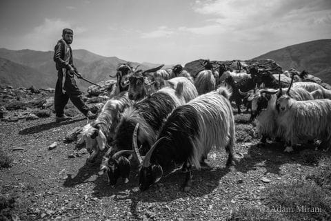Photograph: kur1806