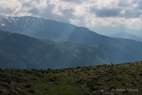 Photograph: kur4512