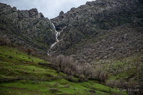 Photograph: kur5089 2