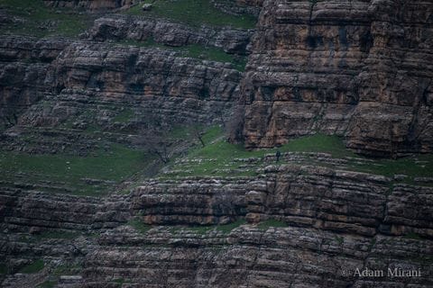 Photograph: kur5641 19