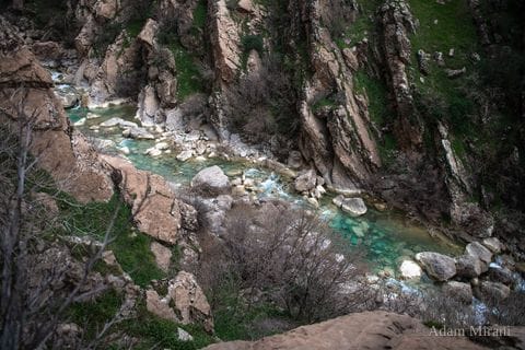Photograph: kur5849 2