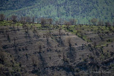 Photograph: kur5933 2