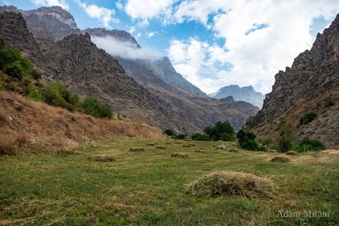 Photograph: kur6540