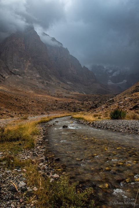 Photograph: kur6559