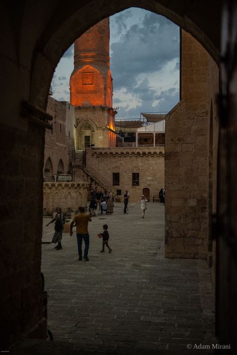 Photograph: kur7235