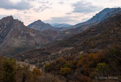 Photograph: kur7443